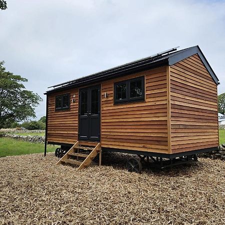 Woodland Shepherds Hut - 'Saga' Caernarfon Eksteriør billede