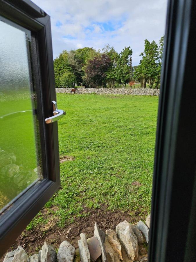 Woodland Shepherds Hut - 'Saga' Caernarfon Eksteriør billede