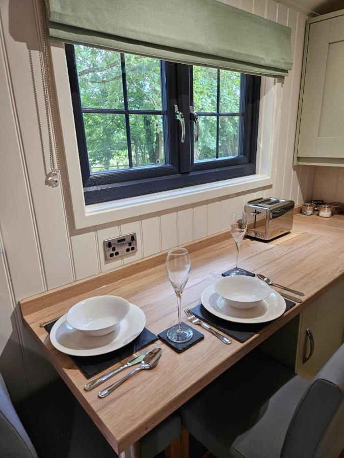 Woodland Shepherds Hut - 'Saga' Caernarfon Eksteriør billede