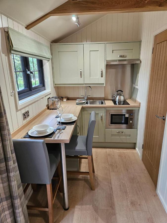 Woodland Shepherds Hut - 'Saga' Caernarfon Eksteriør billede