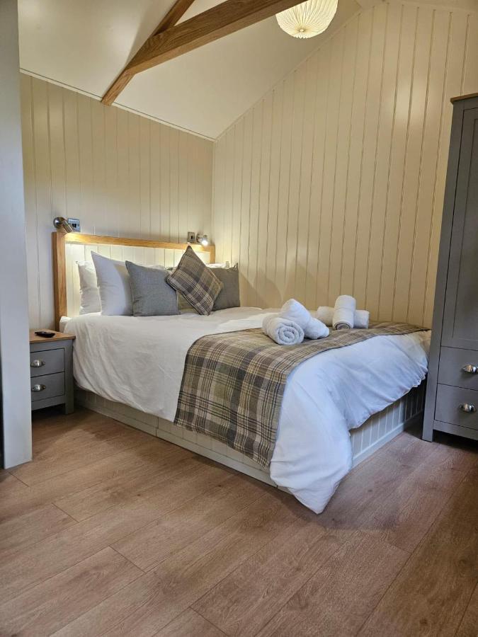 Woodland Shepherds Hut - 'Saga' Caernarfon Eksteriør billede