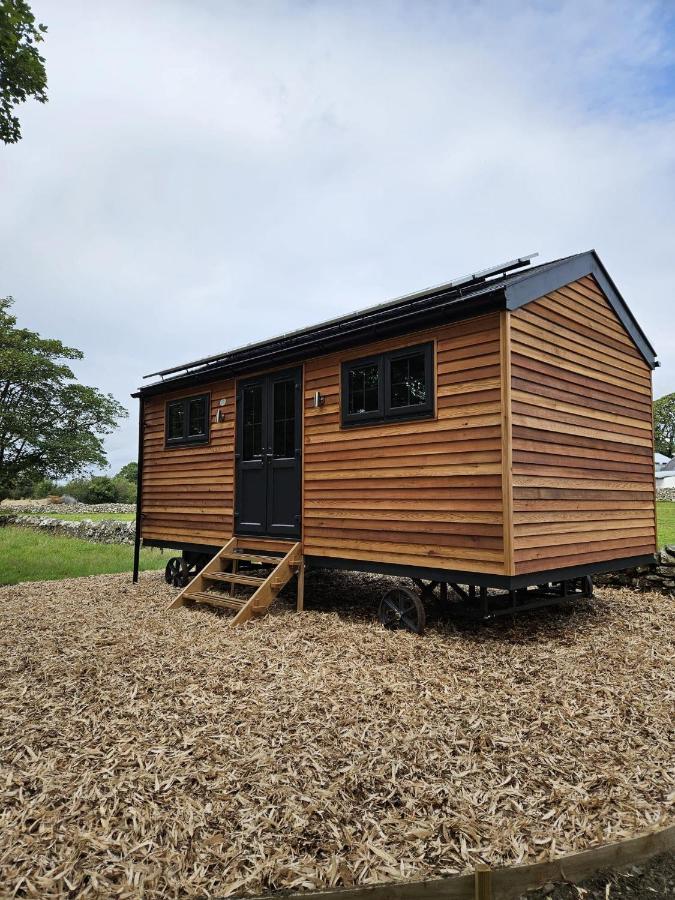 Woodland Shepherds Hut - 'Saga' Caernarfon Eksteriør billede