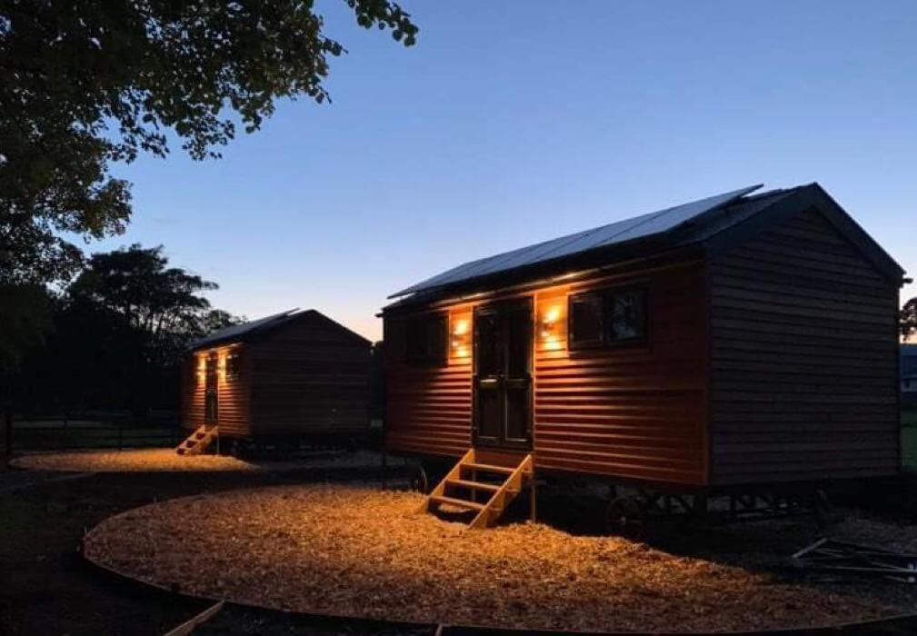 Woodland Shepherds Hut - 'Saga' Villa Caernarfon Eksteriør billede